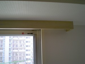 DSCN0208.jpg